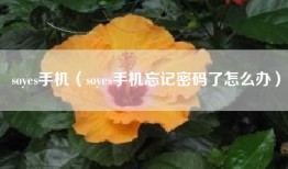 soyes手机（soyes手机忘记密码了怎么办）