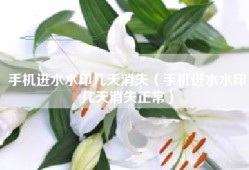 手机进水水印几天消失（手机进水水印几天消失正常）