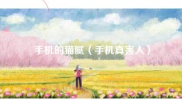 手机的猫腻（手机真害人）