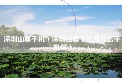 深圳山寨手机（深圳山寨手机用什么手机屏）