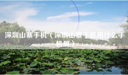 深圳山寨手机（深圳山寨手机用什么手机屏）