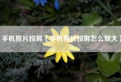 手机照片投屏（手机照片投屏怎么放大）