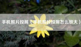 手机照片投屏（手机照片投屏怎么放大）