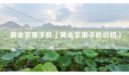 黄金苹果手机（黄金苹果手机价格）