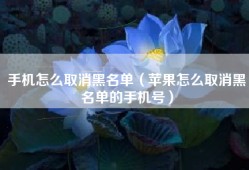 手机怎么取消黑名单（苹果怎么取消黑名单的手机号）