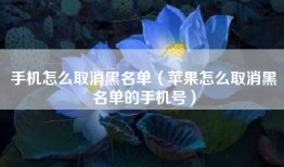 手机怎么取消黑名单（苹果怎么取消黑名单的手机号）