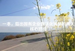 一本，指出国有企业数字化转型的两大核心路径