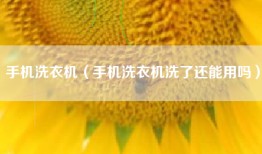 手机洗衣机（手机洗衣机洗了还能用吗）
