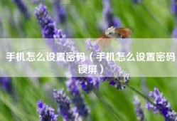 手机怎么设置密码（手机怎么设置密码锁屏）