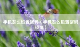 手机怎么设置密码（手机怎么设置密码锁屏）