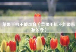 苹果手机不能录音（苹果手机不能录音怎么办）