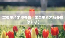 苹果手机不能录音（苹果手机不能录音怎么办）