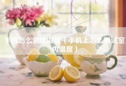 手机怎么测试温度（手机上怎么测试室内温度）