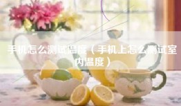手机怎么测试温度（手机上怎么测试室内温度）