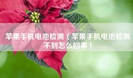 苹果手机电池检测（苹果手机电池检测不到怎么回事）