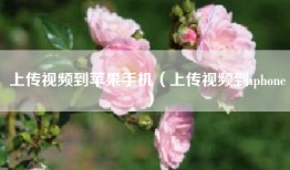 上传视频到苹果手机（上传视频到iphone）