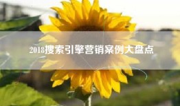 2018搜索引擎营销案例大盘点