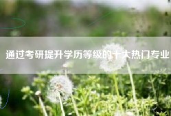 通过考研提升学历等级的十大热门专业