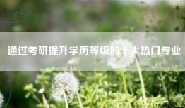 通过考研提升学历等级的十大热门专业