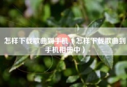怎样下载歌曲到手机（怎样下载歌曲到手机相册中）