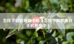 怎样下载歌曲到手机（怎样下载歌曲到手机相册中）