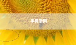 手机暗网