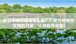 微信小程序商城怎么推广？这五种简单实用的方案，让你高效获客！
