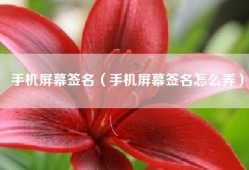 手机屏幕签名（手机屏幕签名怎么弄）