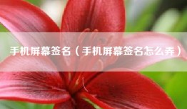 手机屏幕签名（手机屏幕签名怎么弄）