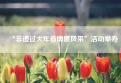 “非遗过大年省博展风采”活动举办