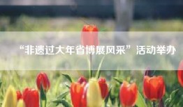 “非遗过大年省博展风采”活动举办