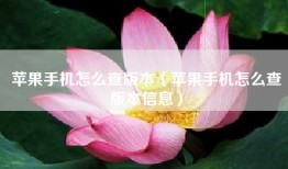 苹果手机怎么查版本（苹果手机怎么查版本信息）