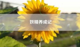 妖精养成记