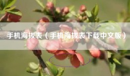 手机海拔表（手机海拔表下载中文版）