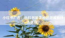 小红书广告：小红书薯条和信息流有什么区别？