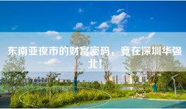 东南亚夜市的财富密码，竟在深圳华强北！