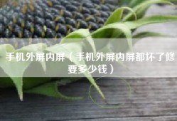 手机外屏内屏（手机外屏内屏都坏了修要多少钱）