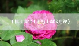 手机上淘宝（手机上淘宝店铿）
