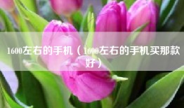 1600左右的手机（1600左右的手机买那款好）