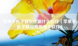 苹果手机下载软件用什么软件（苹果手机下载应用用哪个软件）