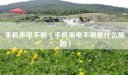 手机来电不响（手机来电不响是什么原因）