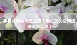 手机美的空调遥控器（手机美的空调遥控器怎么用）
