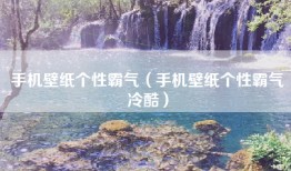 手机壁纸个性霸气（手机壁纸个性霸气冷酷）