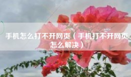 手机怎么打不开网页（手机打不开网页怎么解决）