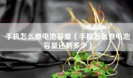 手机怎么查电池容量（手机怎么查电池容量还剩多少）