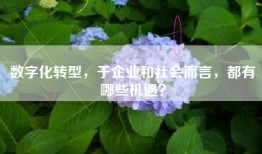 数字化转型，于企业和社会而言，都有哪些机遇？