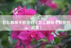 怎么解除手机密码（怎么解除手机密码设置）
