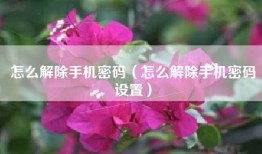 怎么解除手机密码（怎么解除手机密码设置）