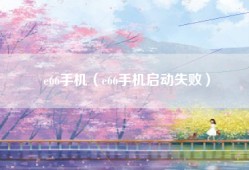 e66手机（e66手机启动失败）
