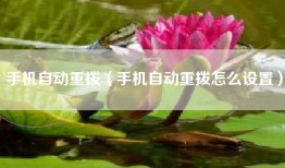手机自动重拨（手机自动重拨怎么设置）
